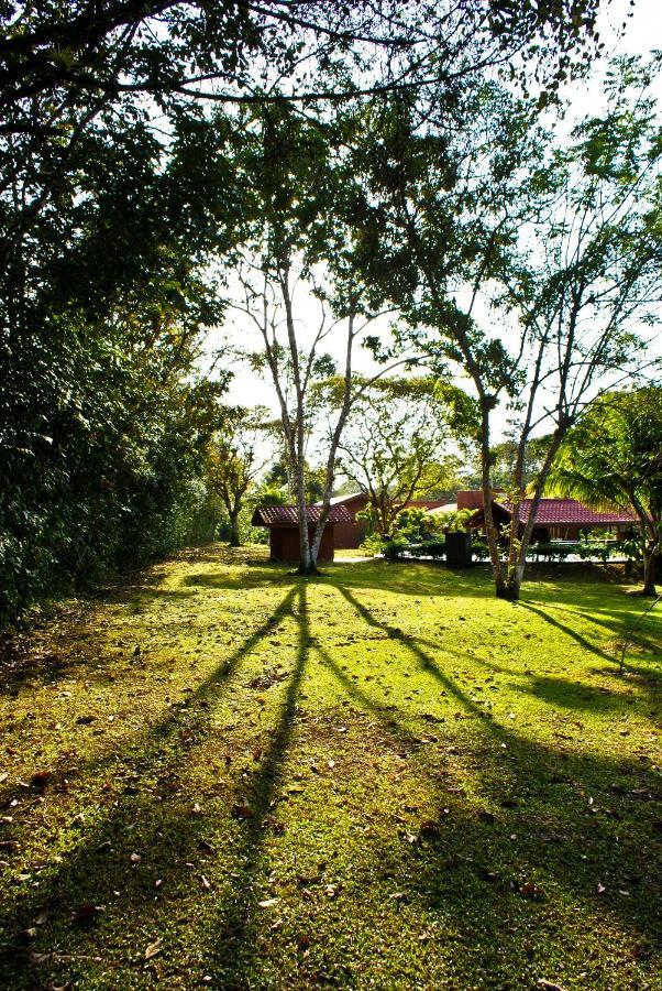 Natural Lodge Caño Negro Exterior foto